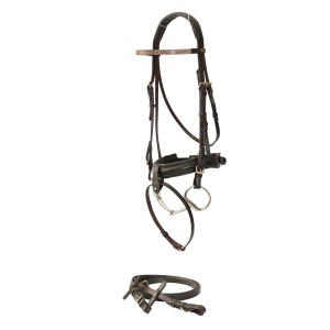 Bridles & Strapping